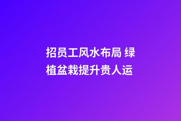 招员工风水布局 绿植盆栽提升贵人运